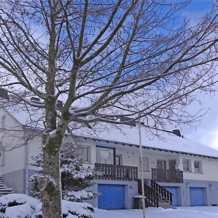 Holiday In Gr Nebach With Terrace Tatil Evi Winterberg